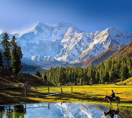 Fairy Meadows and Gondogoro La